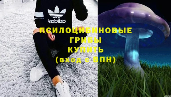 амфетамин Алексин