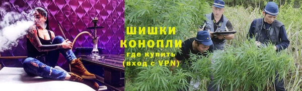 PSILOCYBIN Алексеевка