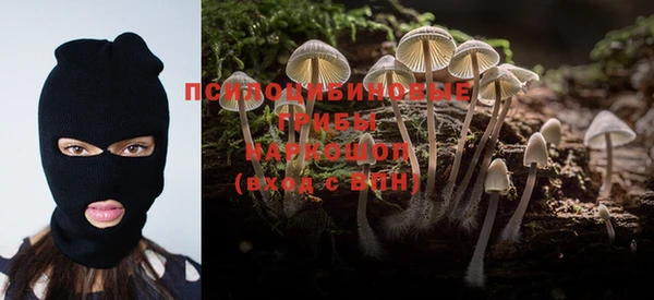 PSILOCYBIN Алексеевка