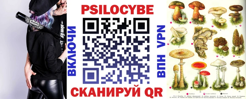 купить  цена  Саров  гидра tor  Галлюциногенные грибы Psilocybe 