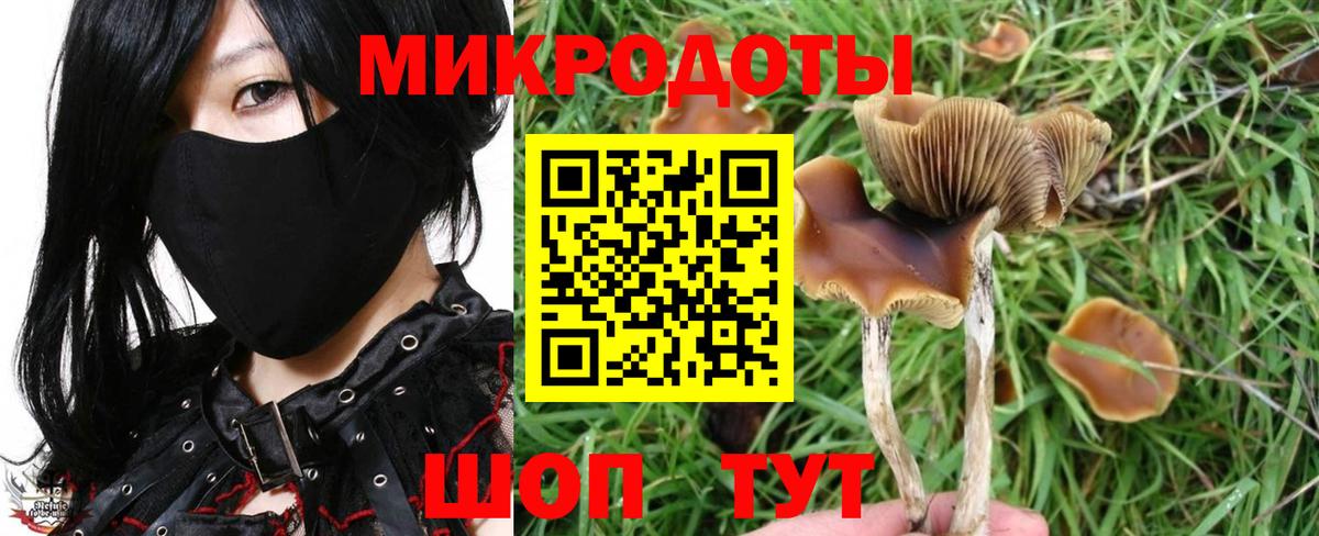 Саров  Галлюциногенные грибы Cubensis  Псилоцибиновые грибы Psilocybine cubensis  Вход с VPN 